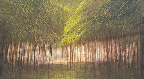 Bosque de los Amantes