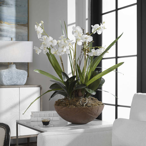 Oasis Orchid Planter